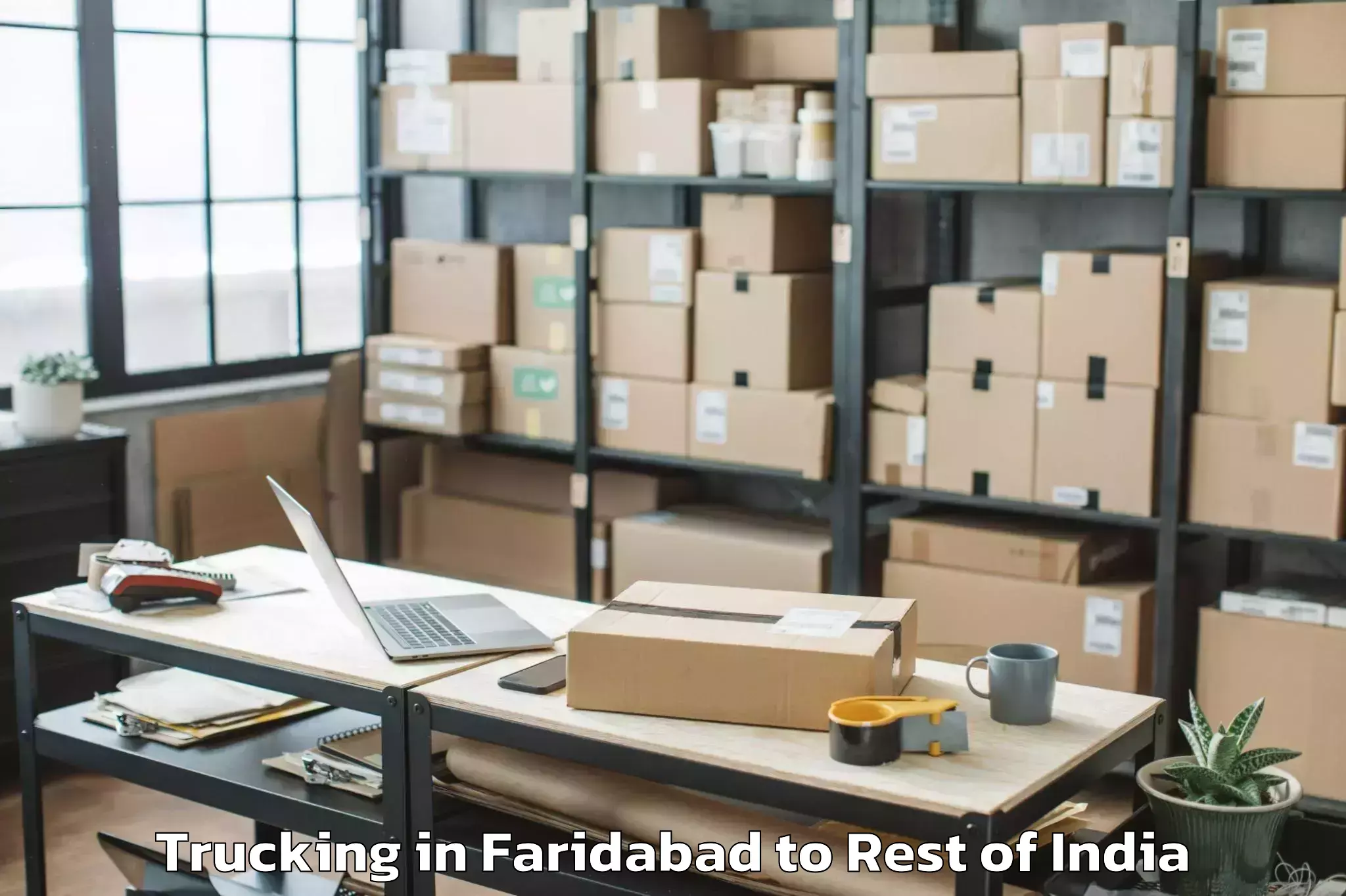 Book Faridabad to Tripuraram Trucking Online